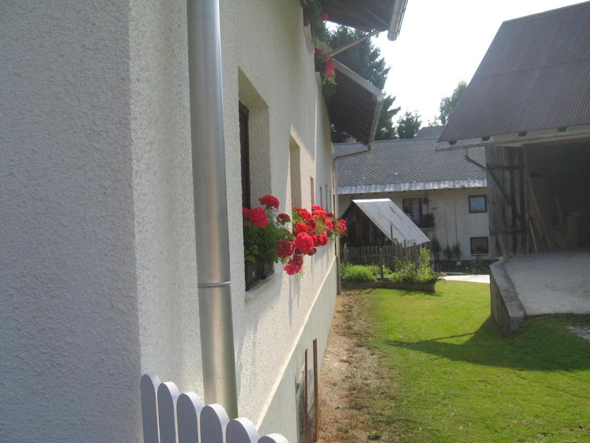Apartma Tilika Kranjska Gora Exterior foto